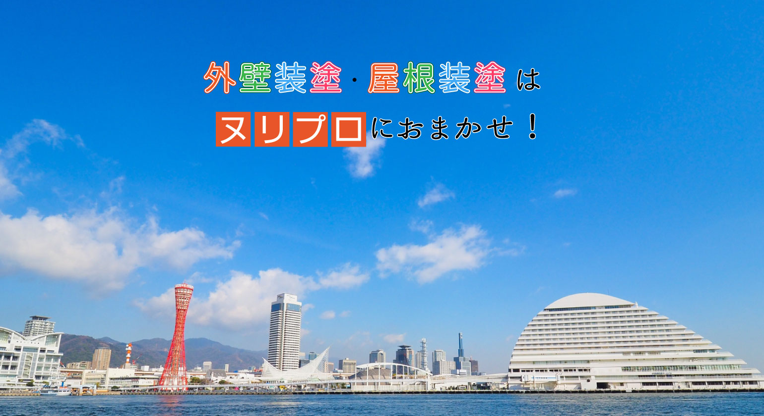 ヌリプロメイン画像①